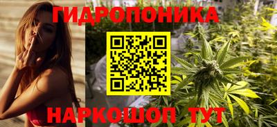 jwh Гусев