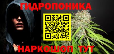 индика Гусиноозёрск