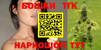индика Гусиноозёрск