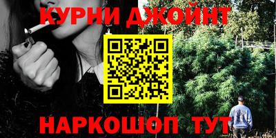 индика Гусиноозёрск