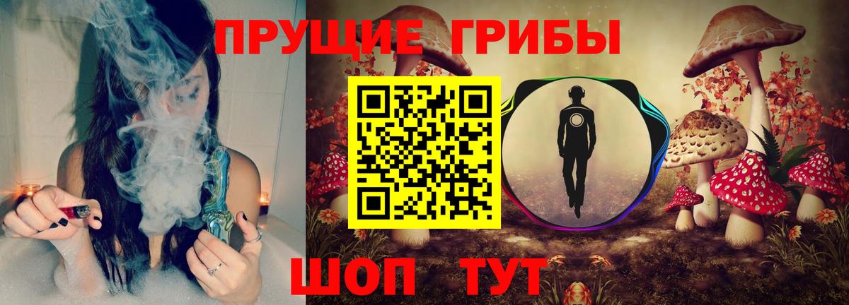 Псилоцибиновые грибы Psilocybine cubensis  Галлюциногенные грибы GOLDEN TEACHER  Долгопрудный  Вход с VPN 